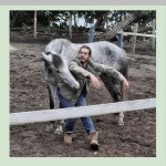A Dancing with Horses Workshop in the Catskills