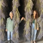 The Equus Projects are hiring Male and Female dancers for upcoming performances and projects for Spring/Summer 2022.