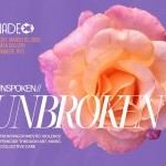 Pink rose in bloom set against a deep purple backdrop