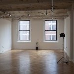 A sunlit studio with wooden floors and 2 windows. A small plant is on a speaker and 2 lights frame the space.