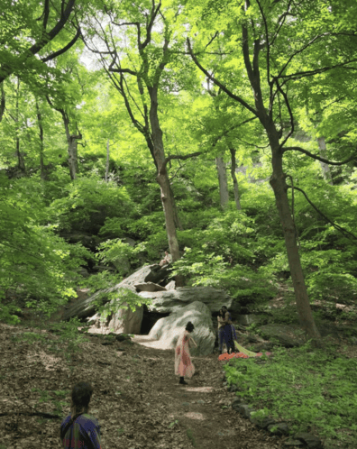 Still from Bridge Matter/The Reach