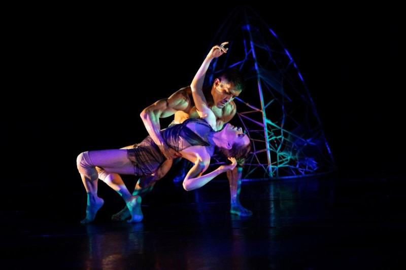 Amanda Selwyn Dance Theatre Live