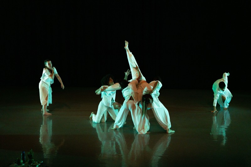 Dancers Unlimited Company