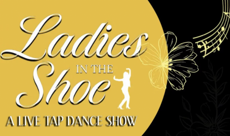 Ladies in the Shoe Logo