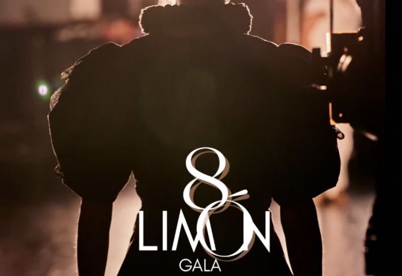 Jos&eacute;&nbsp;Lim&oacute;n Dance Foundation Announces 80th Anniversary Gala Honoring Kristen Brogdon & Northrop and Anna Di Stasi