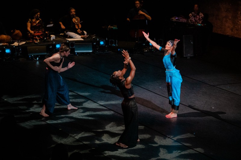 University of Science & Arts of Oklahoma Davis-Waldorf Performing Arts Series presents Ashwini Ramaswamy's Let the Crows Come