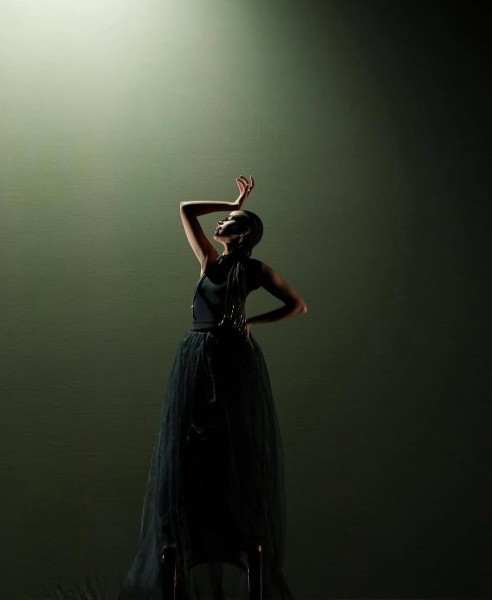 Stefanie Nelson Dancegroup Performance Picture