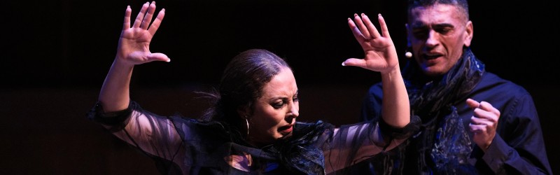 Flamenco Festival NY presents V&iacute;nculo