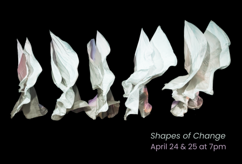 Shapes of Change Performance Still