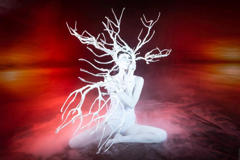 Vangeline performance photo - woman in white body paint with white tree branches on a red, ethereal backdrop