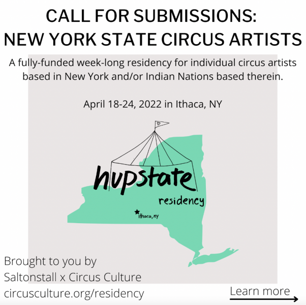 Call for submissions for NY state circus artists
