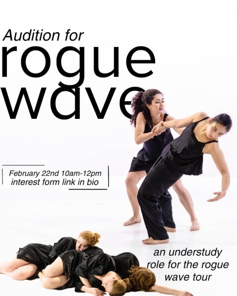 Join rogue wave for our first audition!