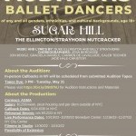 Poster for the Audition 