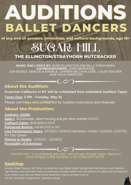 Poster for the Audition 