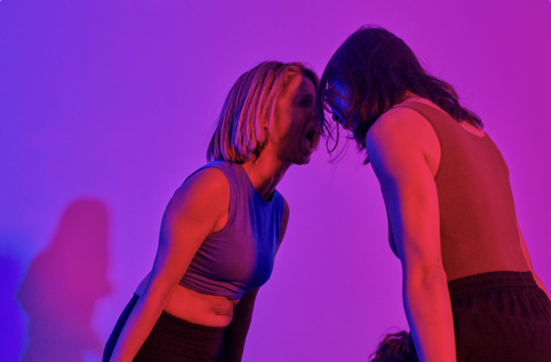 [image ID: In a pink and purple room, two women are screaming. Their arms are are rigid by their side as they tilt forward.}