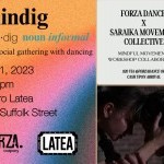Forza Shindig Flyer and workshop flyer comined half rainbow background with explanation text and second half green