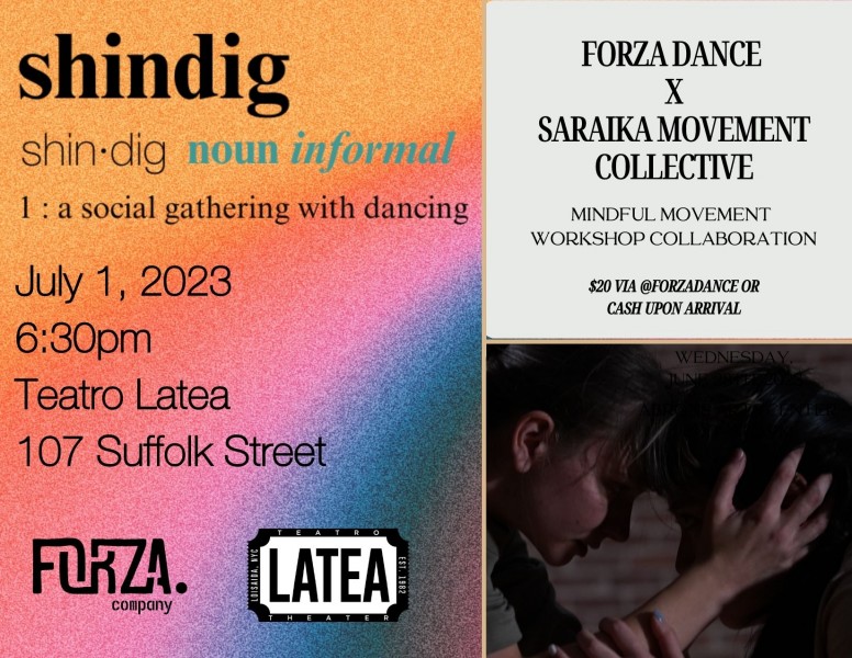 Forza Shindig Flyer and workshop flyer comined half rainbow background with explanation text and second half green