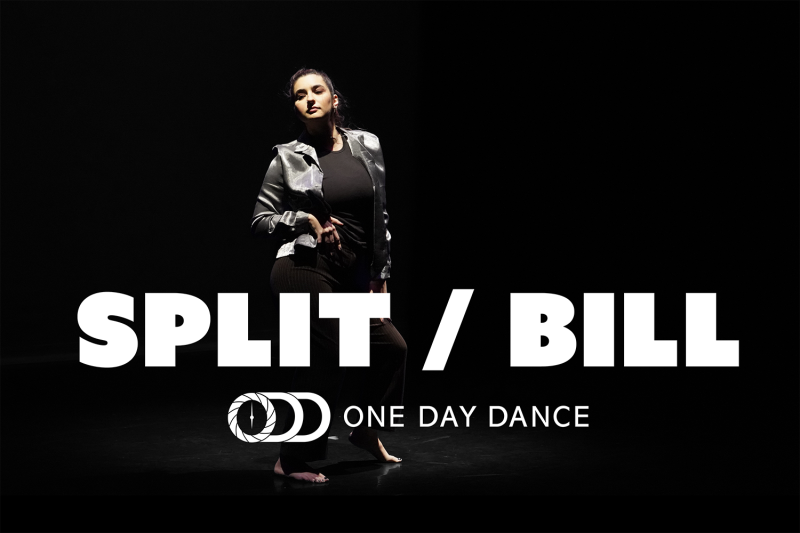 Photo from SHIFT 2026 participant Hannah Owens' Such a Silly Woman