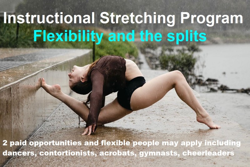 Stretching Program