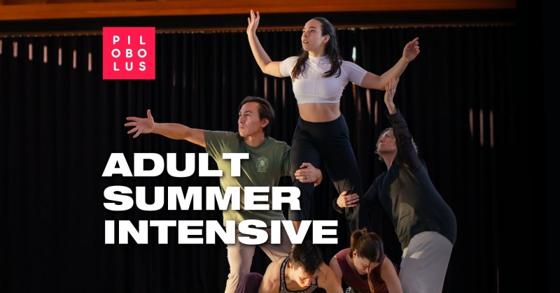 Join Pilobolus for our Adult Summer Intensive