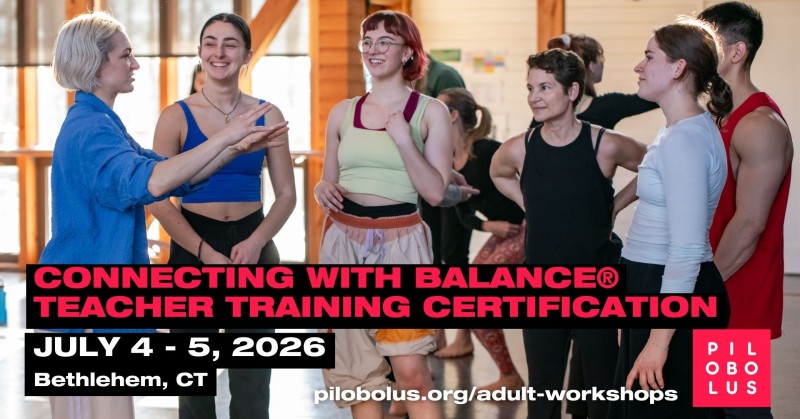 Join Pilobolus for our Adult Summer Intensive and Workshops