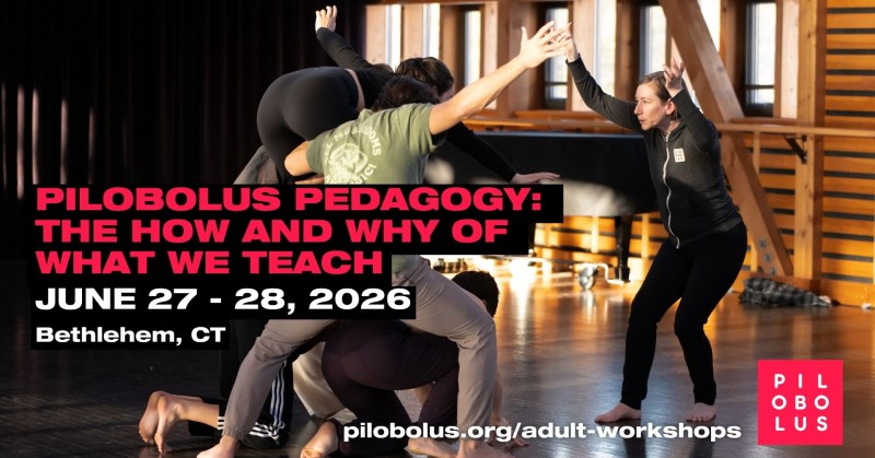 Join Pilobolus for our Adult Summer Intensive and Workshops