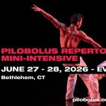 Join Pilobolus for our Adult Summer Intensive and Workshops