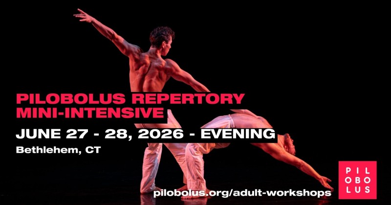 Join Pilobolus for our Adult Summer Intensive and Workshops
