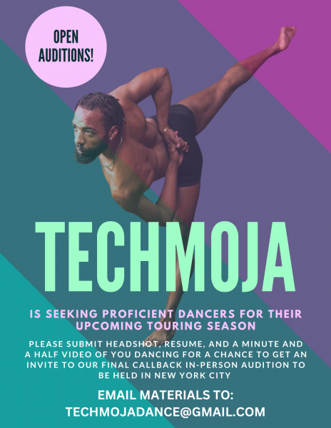 Techmoja Audition is INVITATION ONLY. Applicants should submit a video for review to techmojadance@gmail.com by December 11th, 2