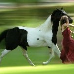 A woman in red dancing alongside a black and white horse
