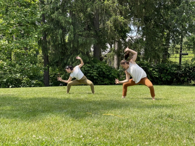 Two people dancing side by side in the grass in front of a line of trees.