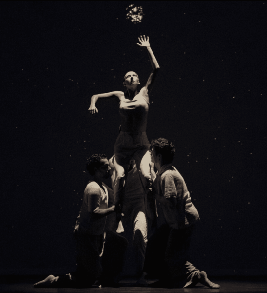 Preview of vildwerk. performance