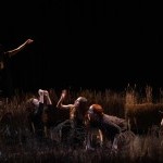 a group of dancers in a set design that is a realistic wheat field at night