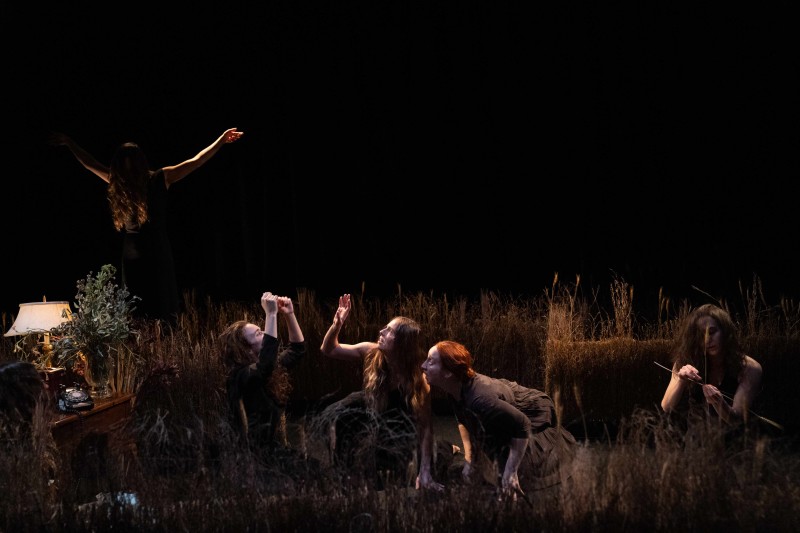 a group of dancers in a set design that is a realistic wheat field at night