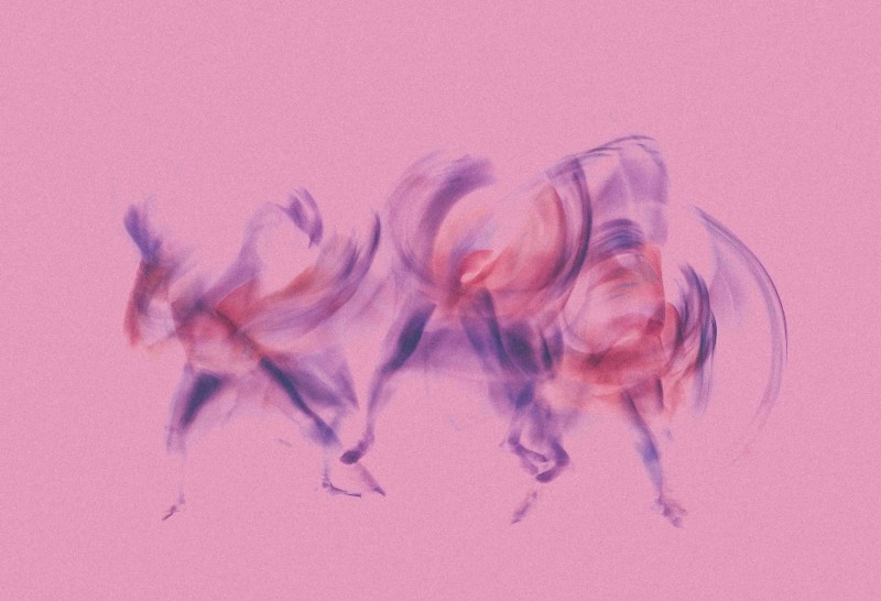 artistic photo of dancers in movement