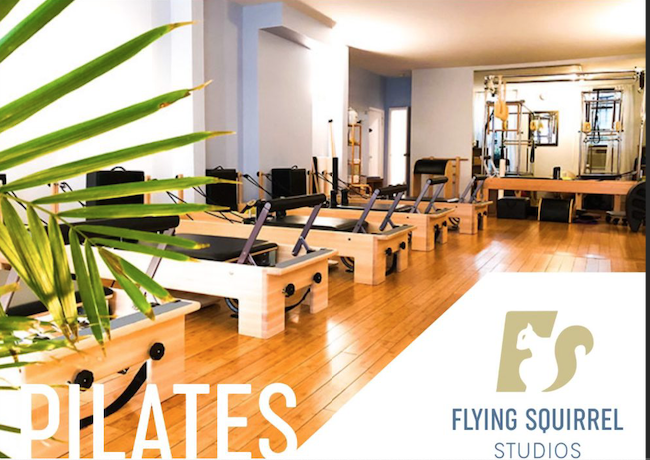 Pilates reformers lined up with Flying Squirrel Studios logo on the bottom right corner and greenery on the left side of the pic