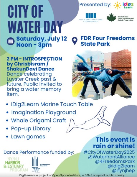 City of water day Flyer : Introspection performance at 2pm, other events happening from 12 to 3pm. 
