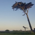 Pierre Guilbault perches on a fallen tree framed by a tall tree behind him