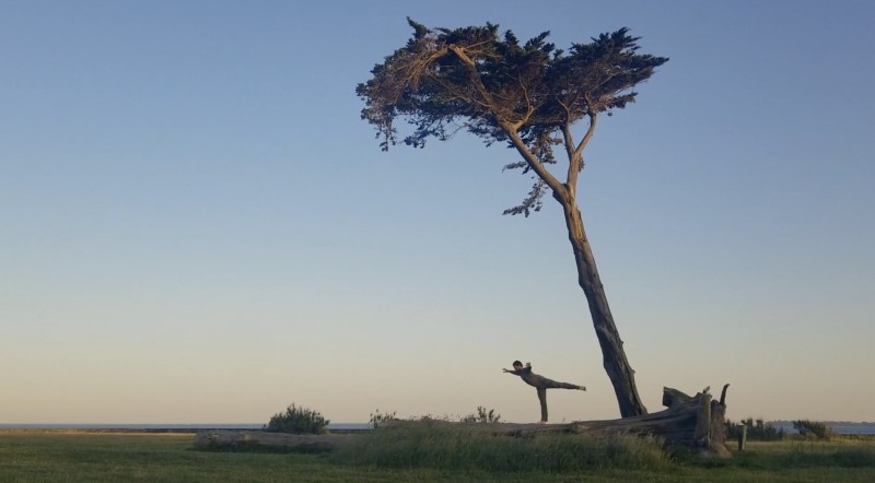 Pierre Guilbault perches on a fallen tree framed by a tall tree behind him