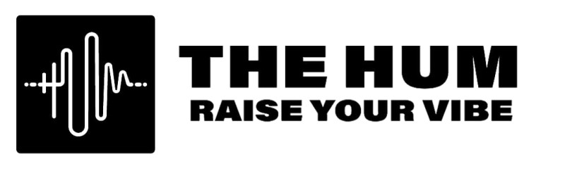 Sound wave image with the text" THE HUM RAISE YOUR VIBE"