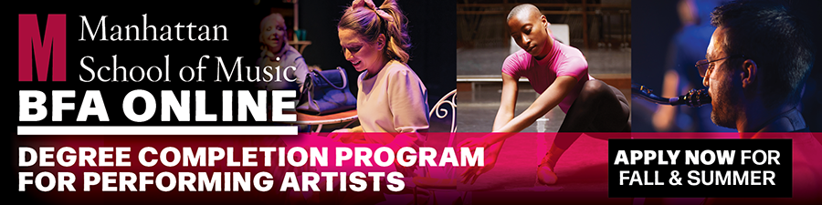 APPLY NOW! MSM's new BFA Online Degree Completion Program