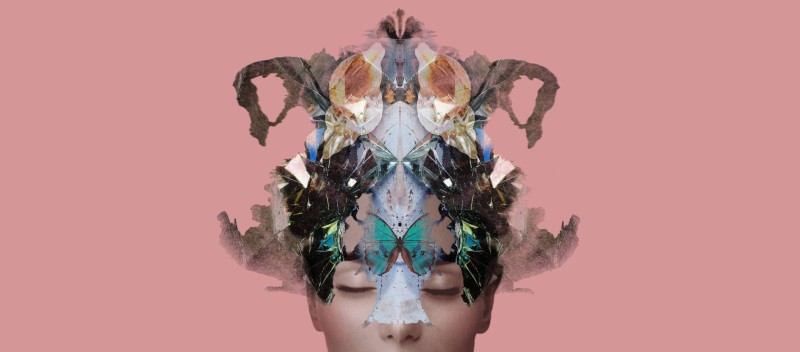 A woman undergoing a transformation whose head looks both like a ink blot and a butterfly.