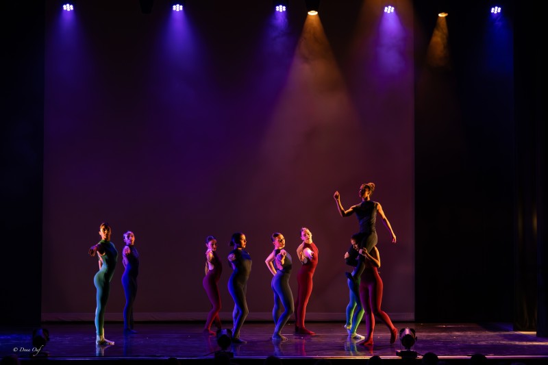Seven dancers in solid-colored bodysuits stand facing the right with one hand outstretched to the audience.