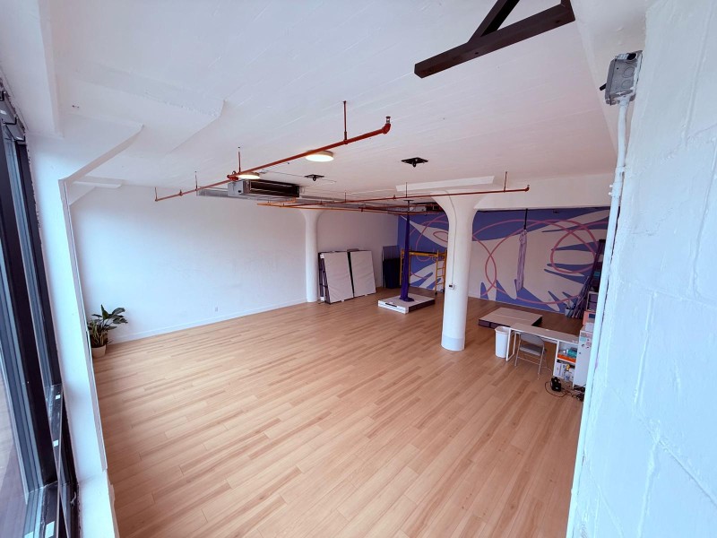 Photo of Moon Bunny Aerial's studio space