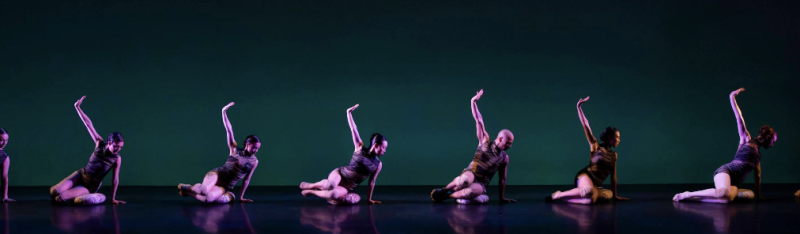 Amanda Selwyn Dance Theatre performance 