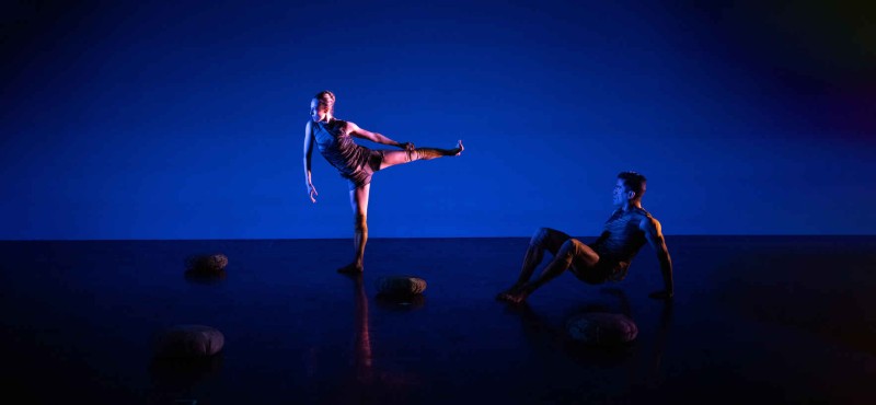 Amanda Selwyn Dance Theatre Dancers