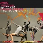 WHITE WAVE is seeking Volunteers for 2014 DUMBO Dance Festival