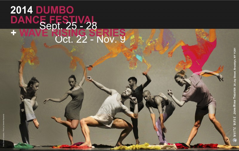WHITE WAVE is seeking Volunteers for 2014 DUMBO Dance Festival