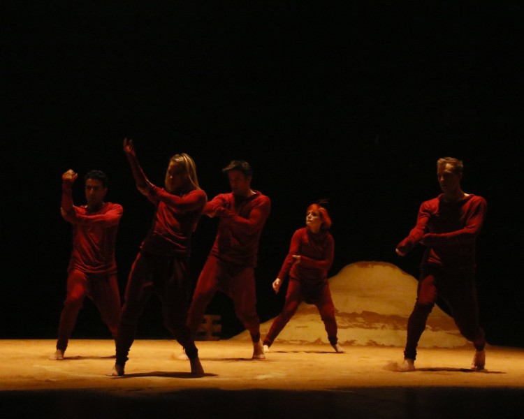 Male dancers needed for Summer performance