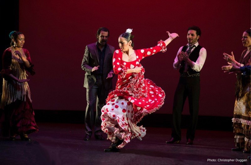 A female flamenco dancer in a red dress with her left arm extended in the air. She is surrounded by other flamenco dancers.